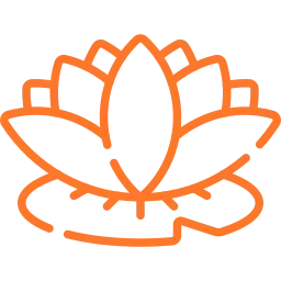 fleur-de-lotus.webp